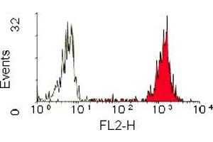 Staining of human peripheral blood monocytes with MOUSE ANTI HUMAN CD11b: RPE (ABIN118518). (CD11b antibody  (PE))