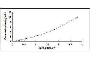 Typical standard curve (TRA2B ELISA Kit)