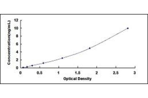 TRA2B ELISA Kit