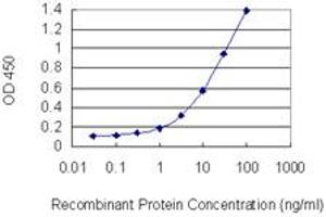 Detection limit for recombinant GST tagged EGLN3 is 0. (EGLN3 antibody  (AA 94-193))