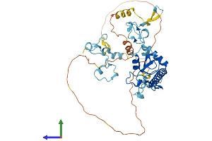 Protein Structure (PS) image for Makorin Ring Finger Protein 2 (MKRN2) (AA 1-416) protein (His tag) (ABIN7549439)