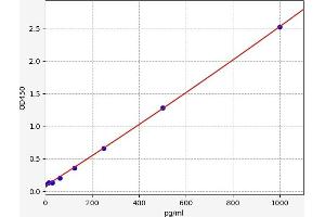 Chemokine (C-C Motif) Ligand 13 (CCL13) ELISA Kit