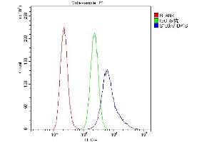 anti-S100 Calcium Binding Protein A7 (S100A7) (AA 2-101) antibody
