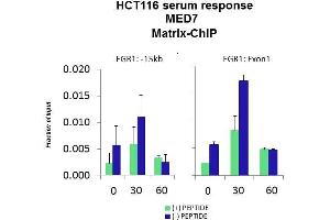 Quiescent human colon carcinoma HCT116 cultures were treated with 10 % FBS for three time points (0, 15, 30min) or (0, 30, 60min) were used in Matrix-ChIP and real-time PCR assays at EGR1 gene (Exon1) and 15kb upstream site. (MED7 antibody  (Middle Region))