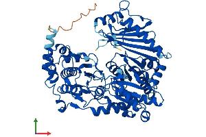 AlphaFold protein structure predicition of Mouse Recombinant Pgm2 Protein, UniprotID Q7TSV4