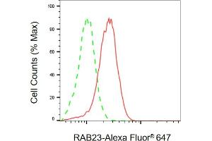 Flow cytometric analysis of RAB23 expression in HAP-1 cells using RAB23 antibody (ABIN7800091), 1:2,000).