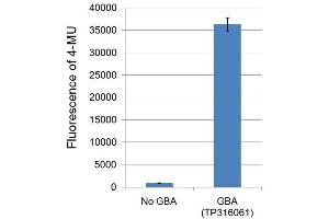 Bioactivity measured with Activity Assay (GBA Protein (Transcript Variant 1) (Myc-DYKDDDDK Tag))
