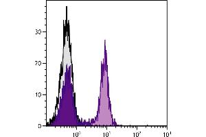 BALB/c mouse splenocytes were stained with Rat Anti-Mouse CD22-UNLB. (CD22 antibody)