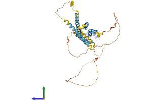AlphaFold protein structure predicition of Human Recombinant GJC2 Protein, UniprotID Q5T442