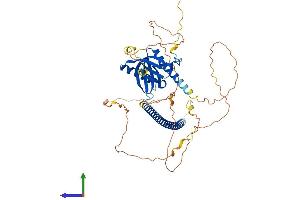 AlphaFold protein structure predicition of Human Recombinant NOS1AP Protein, UniprotID O75052 (NOS1AP Protein (AA 1-506) (His tag))