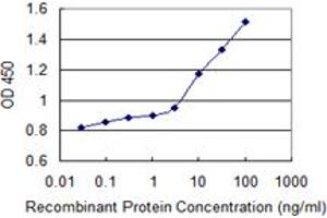 Detection limit for recombinant GST tagged ARSB is 1 ng/ml as a capture antibody. (Arylsulfatase B antibody  (AA 166-265))