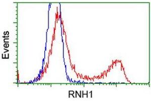 HEK293T cells transfected with either RC208360 overexpress plasmid (Red) or empty vector control plasmid (Blue) were immunostained by anti-RNH1 antibody (ABIN2453614), and then analyzed by flow cytometry.