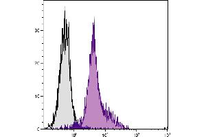 BALB/c mouse splenocytes were stained with Rat Anti-Mouse CD11a-UNLB. (Mouse anti-Rat IgG2a Antibody (FITC))