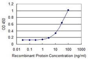 Detection limit for recombinant GST tagged RNF150 is 1 ng/ml as a capture antibody. (RNF150 antibody  (AA 67-176))