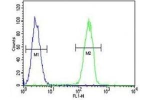 Caspase-5 antibody flow cytometric analysis of MDA-MB231 cells (right histogram) compared to a negative control cell (left histogram). (CASP5 antibody  (AA 162-191))
