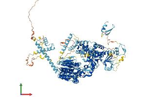 AlphaFold protein structure predicition of Human Recombinant DHX34 Protein, UniprotID Q14147