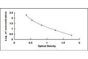 Follicle-Stimulating Hormone (FSH) ELISA Kit