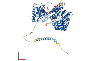 Protein Structure (PS) image for tRNA-YW Synthesizing Protein 1 Homolog (TYW1) (AA 1-732) protein (His tag) (ABIN7555917)