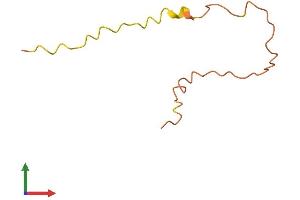AlphaFold protein structure predicition of Human Recombinant KRTAP19-5 Protein, UniprotID Q3LI72