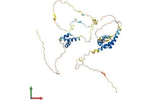 AlphaFold protein structure predicition of Mouse Recombinant Cuedc1 Protein, UniprotID Q8R3V6