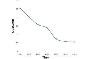 Antigen: 0. (TMEM161A antibody  (AA 21-120))