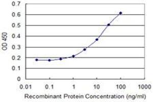 Detection limit for recombinant GST tagged S100A2 is 0. (S100A2 antibody  (AA 1-97))