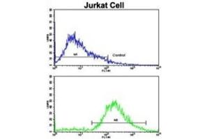 Flow Cytometry (FACS) image for anti-Vasoactive Intestinal Peptide (Vip) antibody (ABIN3002683) (Vip antibody)