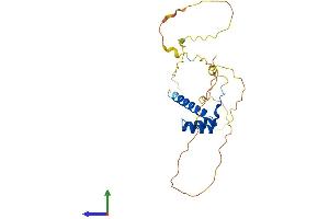 Protein Structure (PS) image for Homeobox B9 (HOXB9) (AA 1-250) protein (His tag) (ABIN7562949)