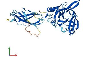 AlphaFold protein structure predicition of Human Recombinant PHYHIP Protein, UniprotID Q92561