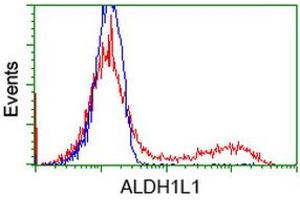 HEK293T cells transfected with either RC213720 overexpress plasmid (Red) or empty vector control plasmid (Blue) were immunostained by anti-ALDH1L1 antibody (ABIN2452751), and then analyzed by flow cytometry. (ALDH1L1 antibody)
