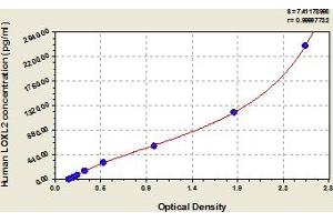 Typical Standard Curve (LOXL2 ELISA Kit)