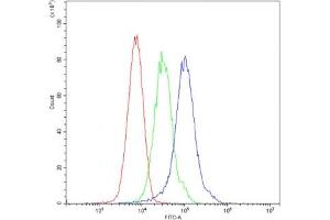 Flow cytometry testing of mouse ANA-1 cells with ARSA antibody at 1ug/10^6 cells (blocked with goat sera) (Arylsulfatase A antibody)