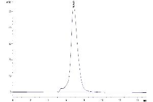 The purity of Human IL-4 R alpha is greater than 95 % as determined by SEC-HPLC. (IL4 Receptor Protein (AA 24-232) (His tag))