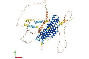 Protein Structure (PS) image for Family with Sequence Similarity 114, Member A1 (FAM114A1) (AA 1-569) protein (His tag) (ABIN7560902)