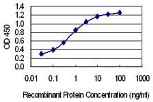 Detection limit for recombinant GST tagged MLXIP is 0. (MLXIP antibody  (AA 481-577))