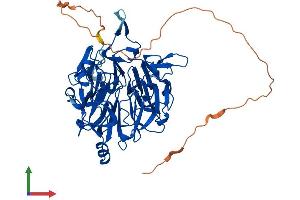 AlphaFold protein structure predicition of Human Recombinant RCC2 Protein, UniprotID Q9P258 (RCC2 Protein (AA 1-522) (His tag))