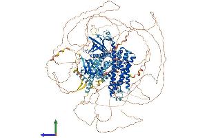 AlphaFold protein structure predicition of Human Recombinant ARHGEF11 Protein, UniprotID O15085