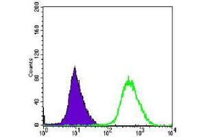Flow cytometric analysis of Hela cells using MAP2K6 mouse mAb (green) and negative control (purple). (MAP2K6 antibody)