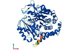 Protein Structure (PS) image for Tubulin, beta 5 (TUBB5) (AA 1-444) protein (His tag) (ABIN7556844)