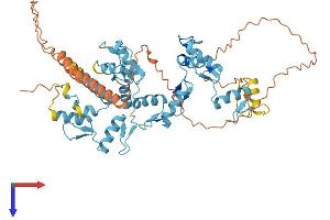 Protein Structure (PS) image for Zinc Finger Protein 765 (ZNF765) (AA 1-523) protein (His tag) (ABIN7545398)