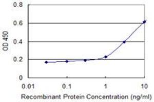 Detection limit for recombinant GST tagged HLA-DQB1 is 0. (HLA-DQB1 antibody  (AA 129-217))