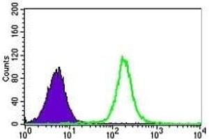 Flow cytometric analysis of K562 cells using HNRNPU mouse mAb (green) and negative control (purple).
