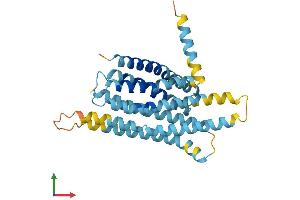 AlphaFold protein structure predicition of Human Recombinant TAS2R5 Protein, UniprotID Q9NYW4 (TAS2R5 Protein (AA 1-299) (His tag))