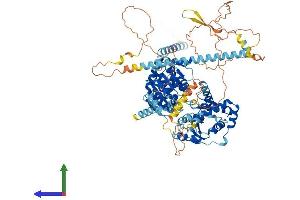 Protein Structure (PS) image for DEAD (Asp-Glu-Ala-Asp) Box Polypeptide 10 (DDX10) (AA 1-875) protein (His tag) (ABIN7547049)
