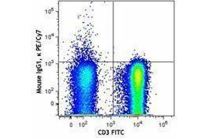Flow Cytometry (FACS) image for anti-TCR V Alpha24-J Alpha18 antibody (PE-Cy7) (ABIN2659401) (TCR V Alpha24-J Alpha18 antibody (PE-Cy7))