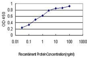 Detection limit for recombinant GST tagged KIF15 is approximately 0. (KIF15 antibody  (AA 1279-1385))