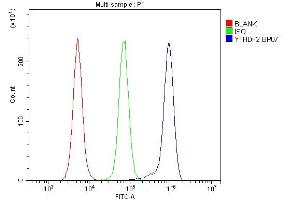 Flow Cytometry analysis of RAW264. (YTHDF2 antibody  (N-Term))