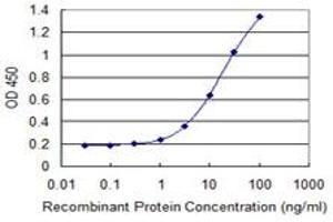 Detection limit for recombinant GST tagged ZNF3 is 0. (ZNF3 antibody  (AA 1-110))