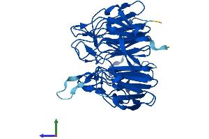 AlphaFold protein structure predicition of Human Recombinant KLHDC8A Protein, UniprotID Q8IYD2
