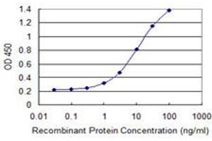 Detection limit for recombinant GST tagged CKAP2 is 0. (CKAP2 antibody  (AA 1-161))